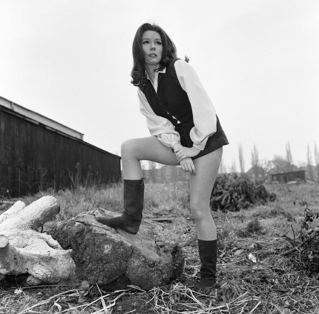 Diana Rigg nude photos 2019 Diana Rigg nude photos 2019